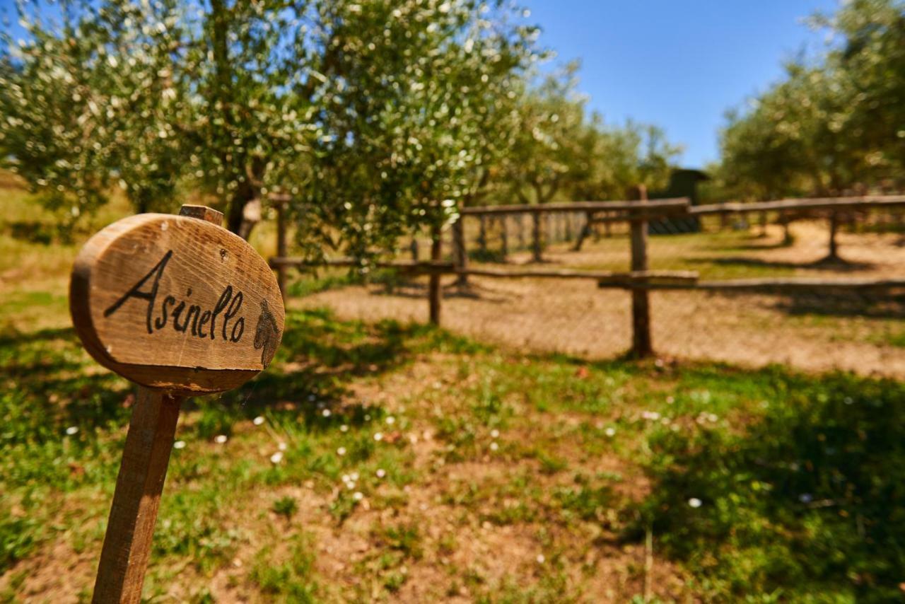 Casale Di Valle Villa Винчи Екстериор снимка