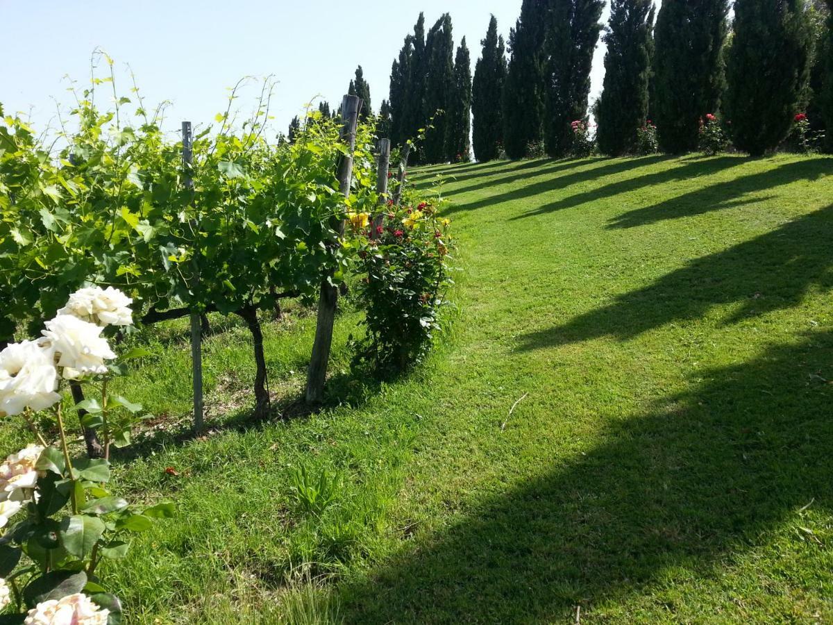 Casale Di Valle Villa Винчи Екстериор снимка