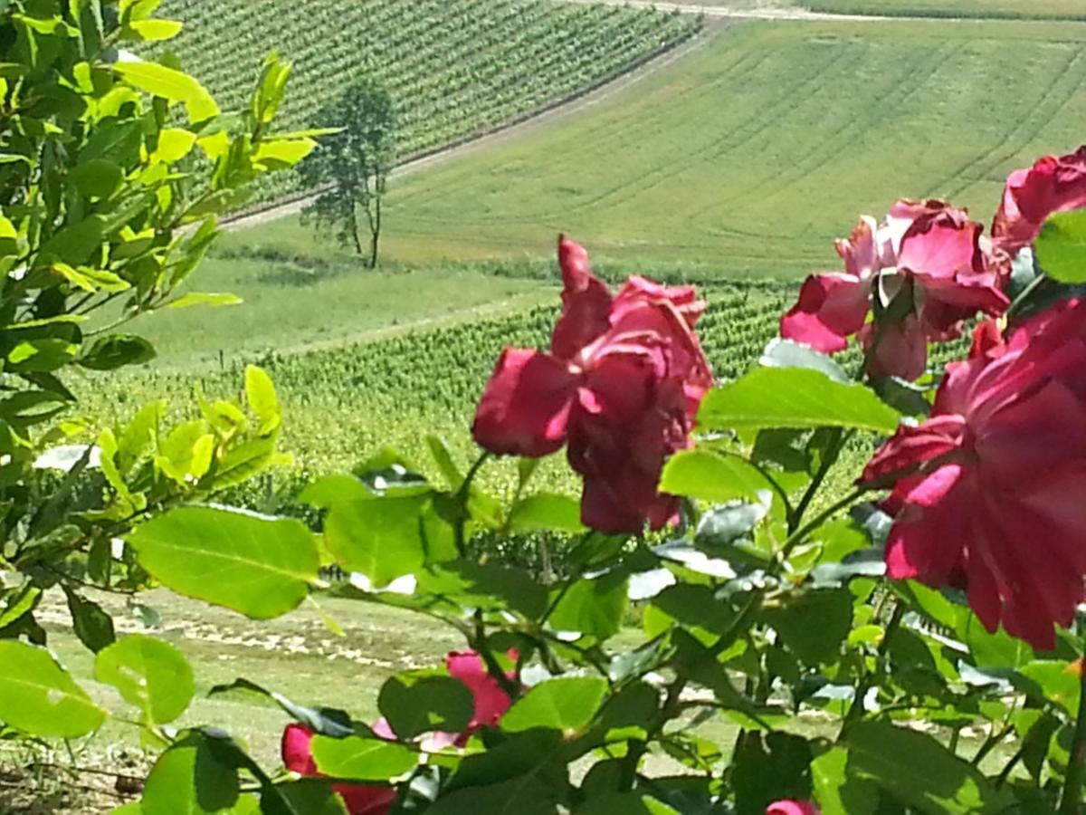 Casale Di Valle Villa Винчи Екстериор снимка
